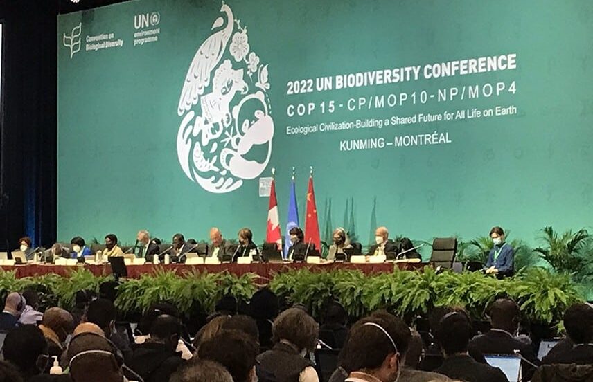biodiversity credit talks at COP15