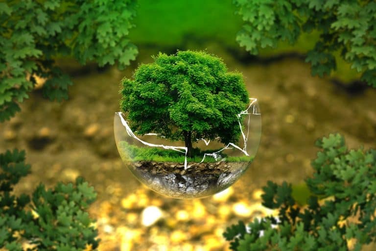 Bezos Earth Fund Offers $110M Grants as Climate Commitment