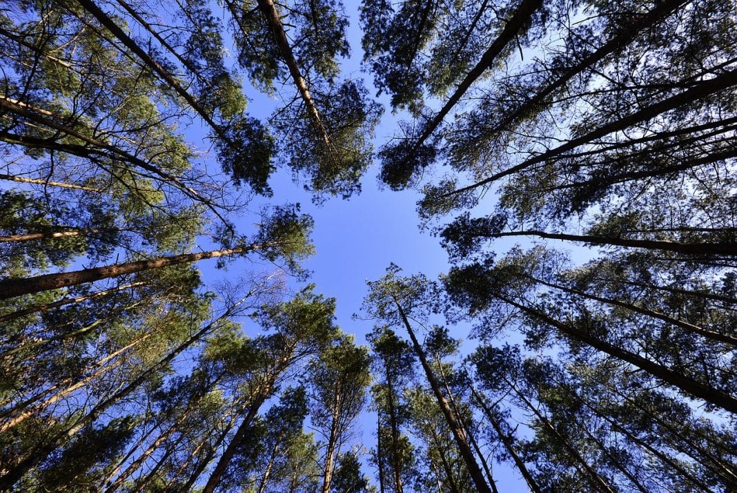 london stock exchange first fund carbon credits