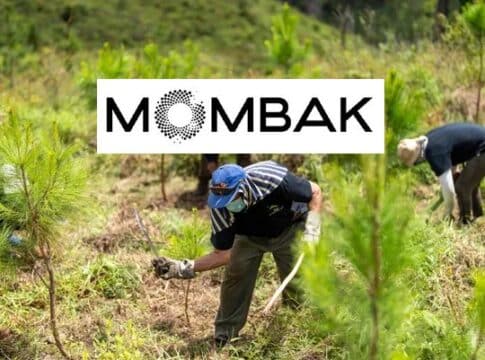 Carbon Removal Startup Mombak Launches $100M Reforestation Project