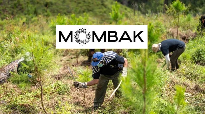 mombak reforestation project