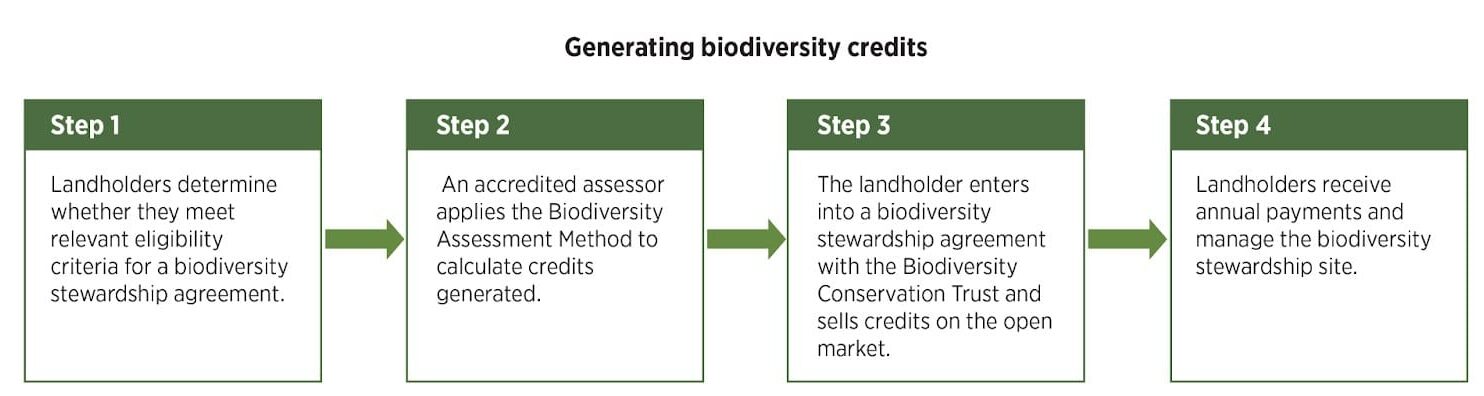 how to earn biodiversity credits