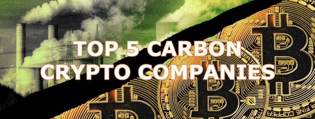 top carbon crypto companies to watch in 2023