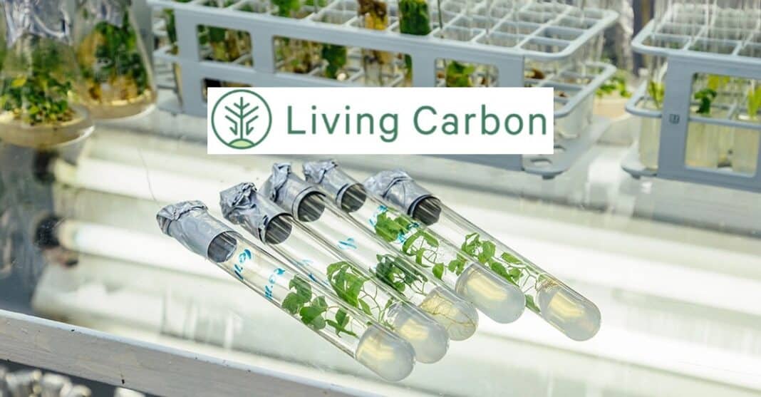 Living Carbon biotech super trees