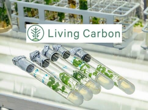 Temasek Funds Biotech Firm Living Carbon for GMO Super Trees