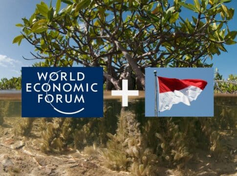 WEF and Indonesia Join Hand to Boost Blue Carbon Credits