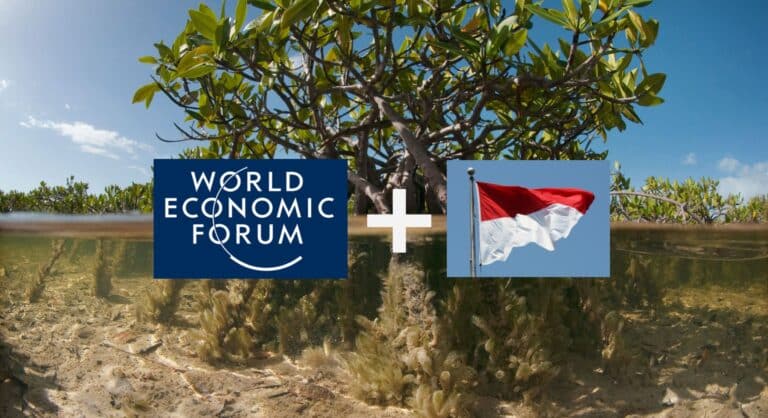 WEF and Indonesia Join Hand to Boost Blue Carbon Credits