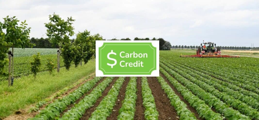 carbon credits farming