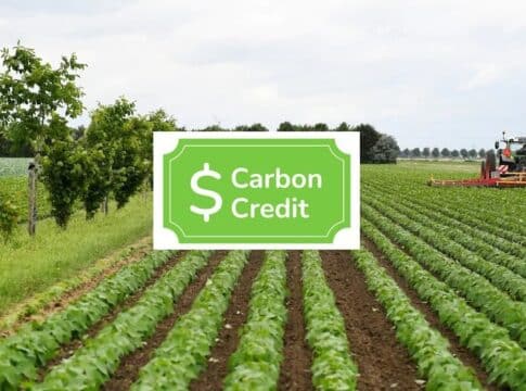 Carbon Credits Farming (Everything You Need To Know)