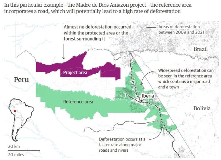 Do Deforestation Projects Really Reduce Carbon?