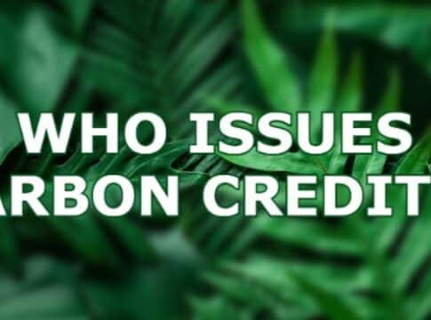 Who Issues Carbon Credits? (Everything You Need To Know)
