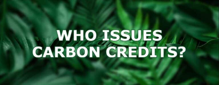 Who Issues Carbon Credits? (Everything You Need To Know)