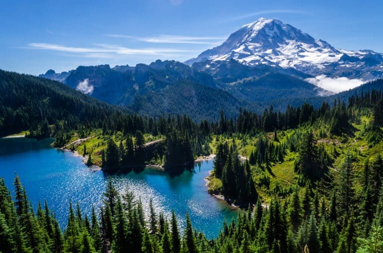 Washington’s Dept of Natural Resources Urges Carbon Credit Generation from Forestland