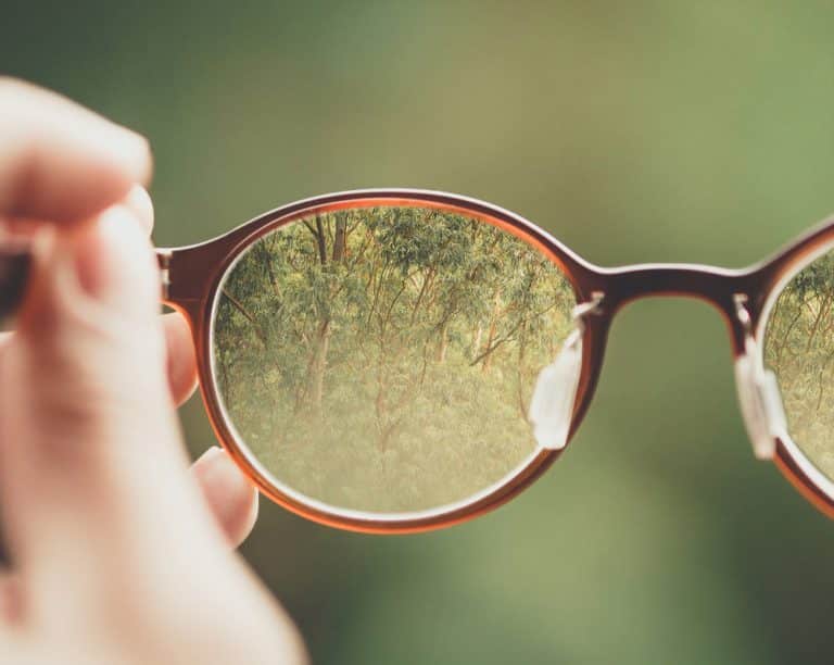Transparency in Intermediaries’ VCM Transactions is Critical