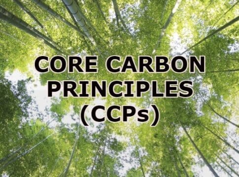 The Core Carbon Principles Published