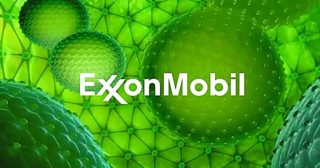 Exxon ends algae support