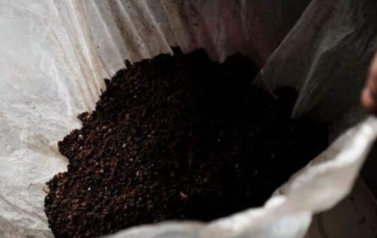 biochar carbon credits coffee ground