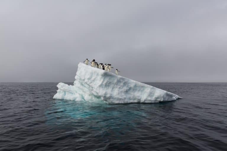 Humanity is on Thin Ice Says UN Climate Report
