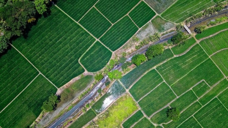 Agreena Lands $50M to Expand Regen Ag and Carbon Credits