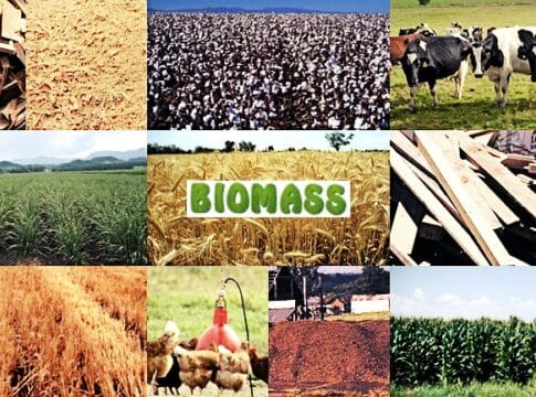 The Evolution of Biomass and Its Generations