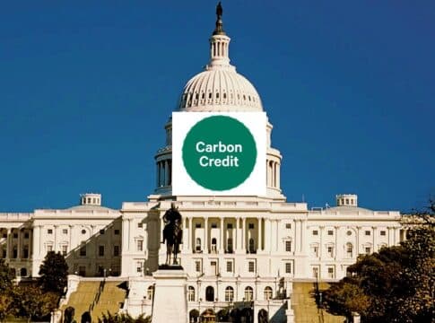 Carbon Credits and the Role of Governments: Encouraging Climate Action Through Policy