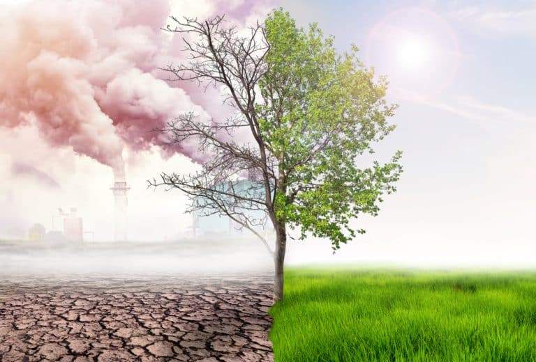 $62B VC Firms Form Venture Climate Alliance for Net Zero