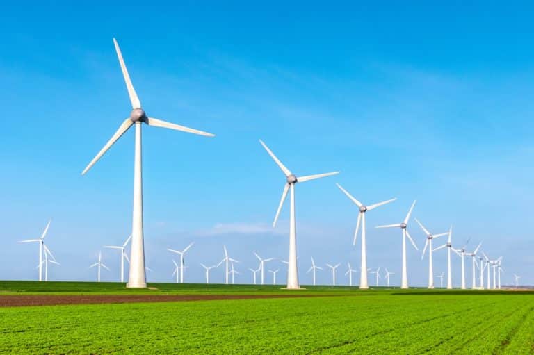 The Impact of Carbon Credits on Renewable Energy Development