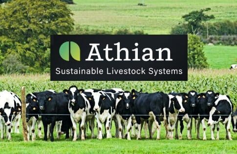 Livestock Carbon Credit Marketplace Secures Seed Investment