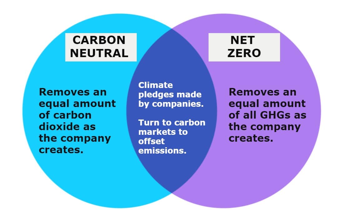 carbon neutrality vs. net zero