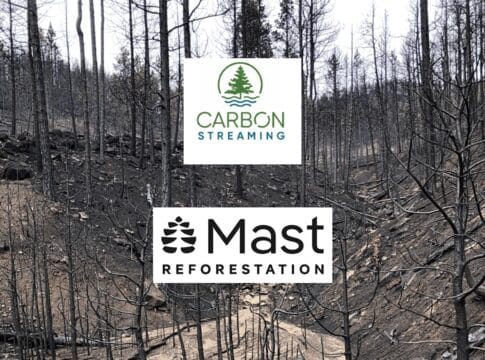 Carbon Streaming Invests $15M in Mast for Post-Wildfire Reforestation