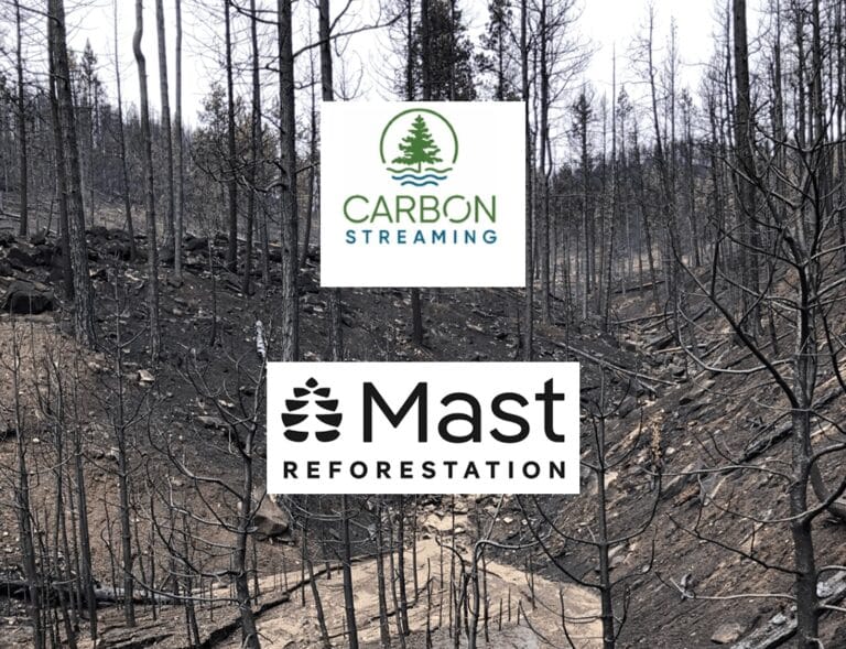 Carbon Streaming Invests $15M in Mast for Post-Wildfire Reforestation