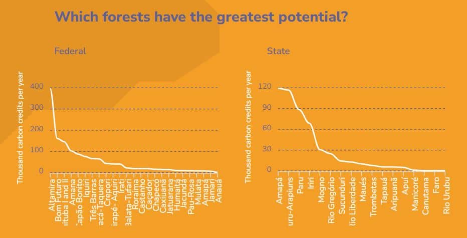 Brazil forests carbon credit potential