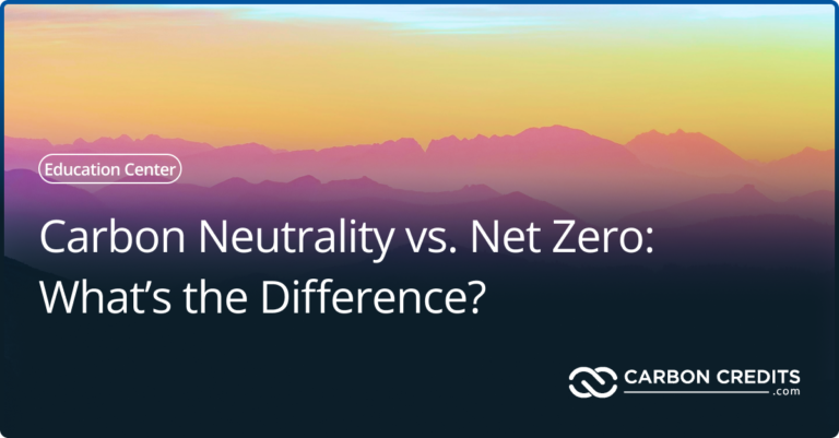 Carbon Neutrality vs. Net Zero (What’s the Difference?)