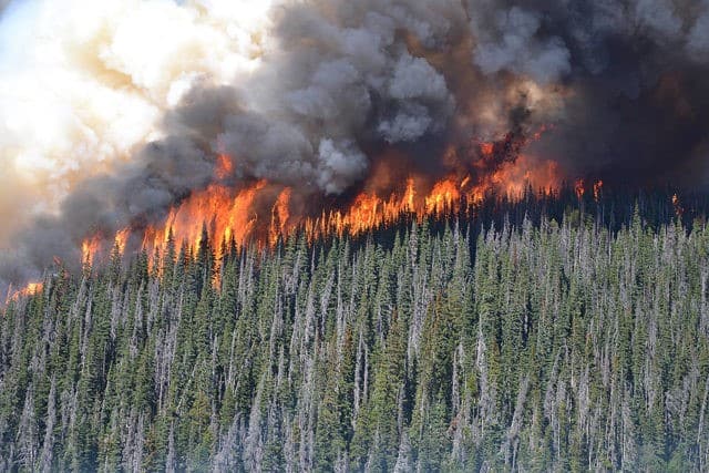 Canadian wildfires