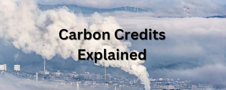 Carbon Credits Explained (2023 Guide)