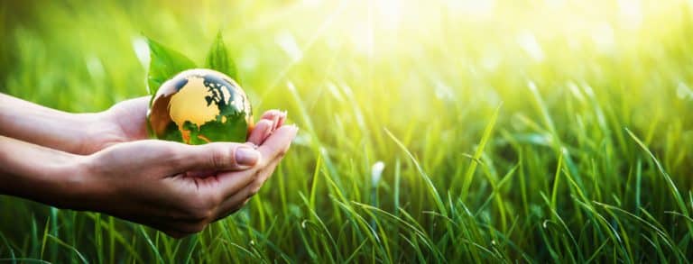 First ISSB Reporting Standards Are Out, What Investors Must Know