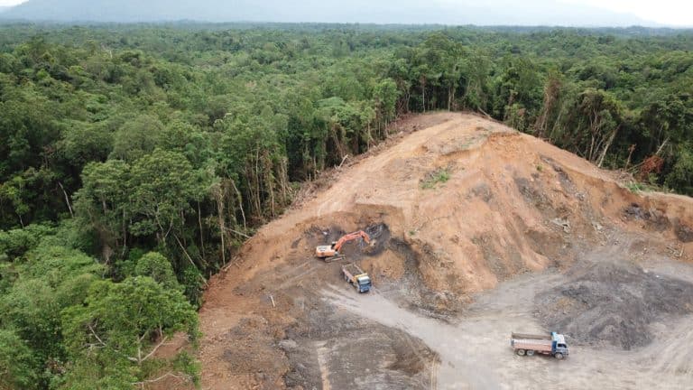 Brazil’s Bill Will Allow Loggers to Earn $24M from Carbon Credits