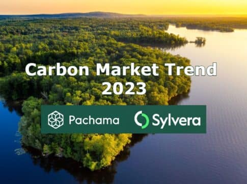 Sylvera and Pachama Release 2023 Carbon Market Trend Report