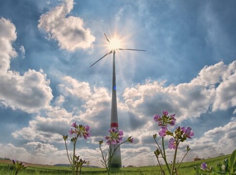 What is Renewable Energy? Benefits, Sources, and Top Companies