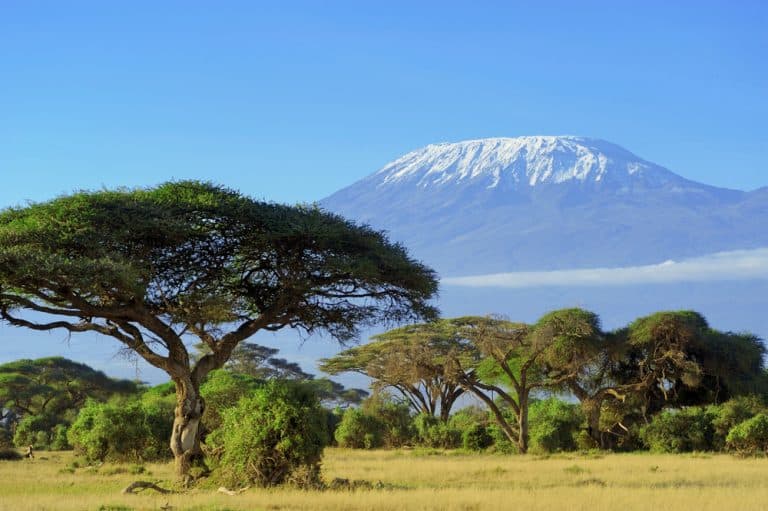 Tanzania Carbon Credit Projects Attract $20B from Companies