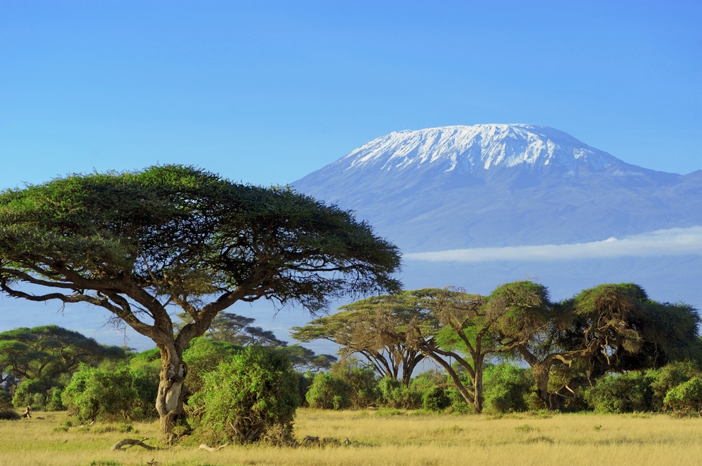 Tanzania carbon credit from forest projects