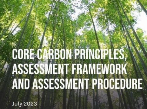 ICVCM’s New Framework: Raising the Bar for Carbon Credits
