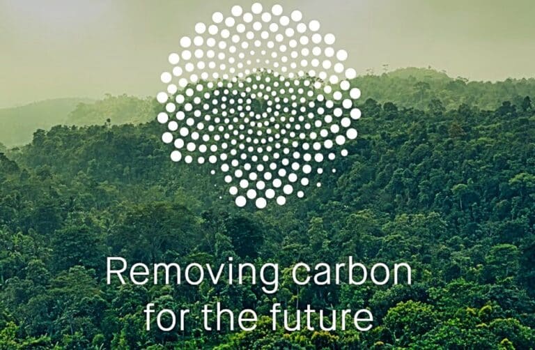 Carbon Removal Startup Hits $100M Fund to Save Amazon Forest