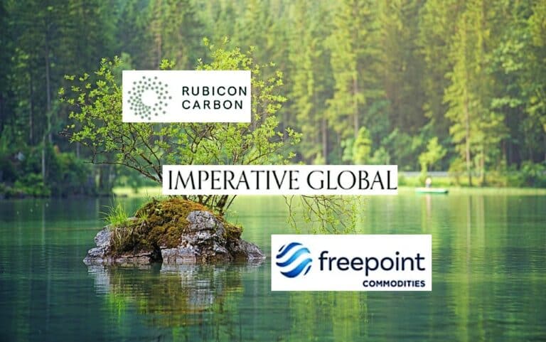 US Trio to Fund $500M Nature-Based Carbon Projects to Make 100M Carbon Credits