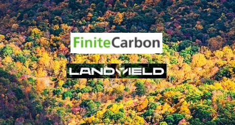 Breaking Barriers: Giving Family Forest Landowners More Access to Carbon Markets