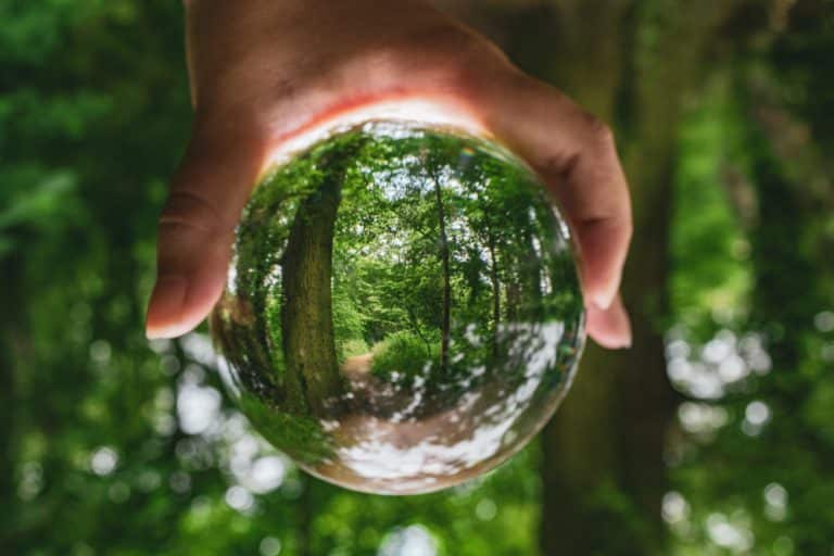 Nature-Based Carbon Offsets Crucial in the Road to Net Zero