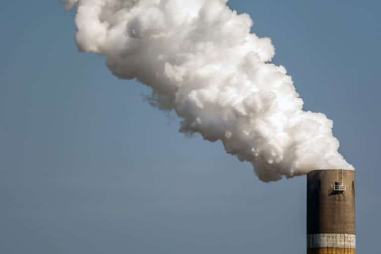 How Do Carbon Credits Reduce Emissions?