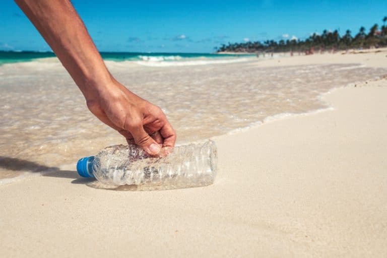 Mitsubishi Reveals a Breakthrough in Creating Sustainable PET Bottles from Biomass