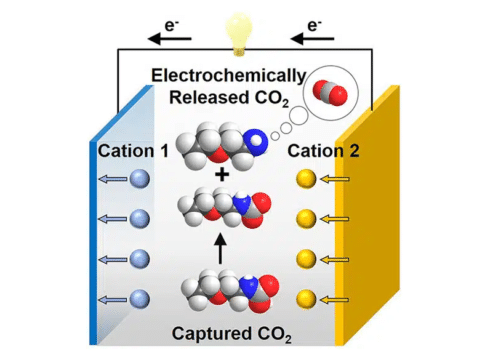 Electrochemical: A More Efficient Way of Capturing CO2 than DAC?
