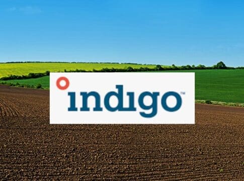 Indigo’s $250M Raise Boosts Agricultural Carbon Credits Generation